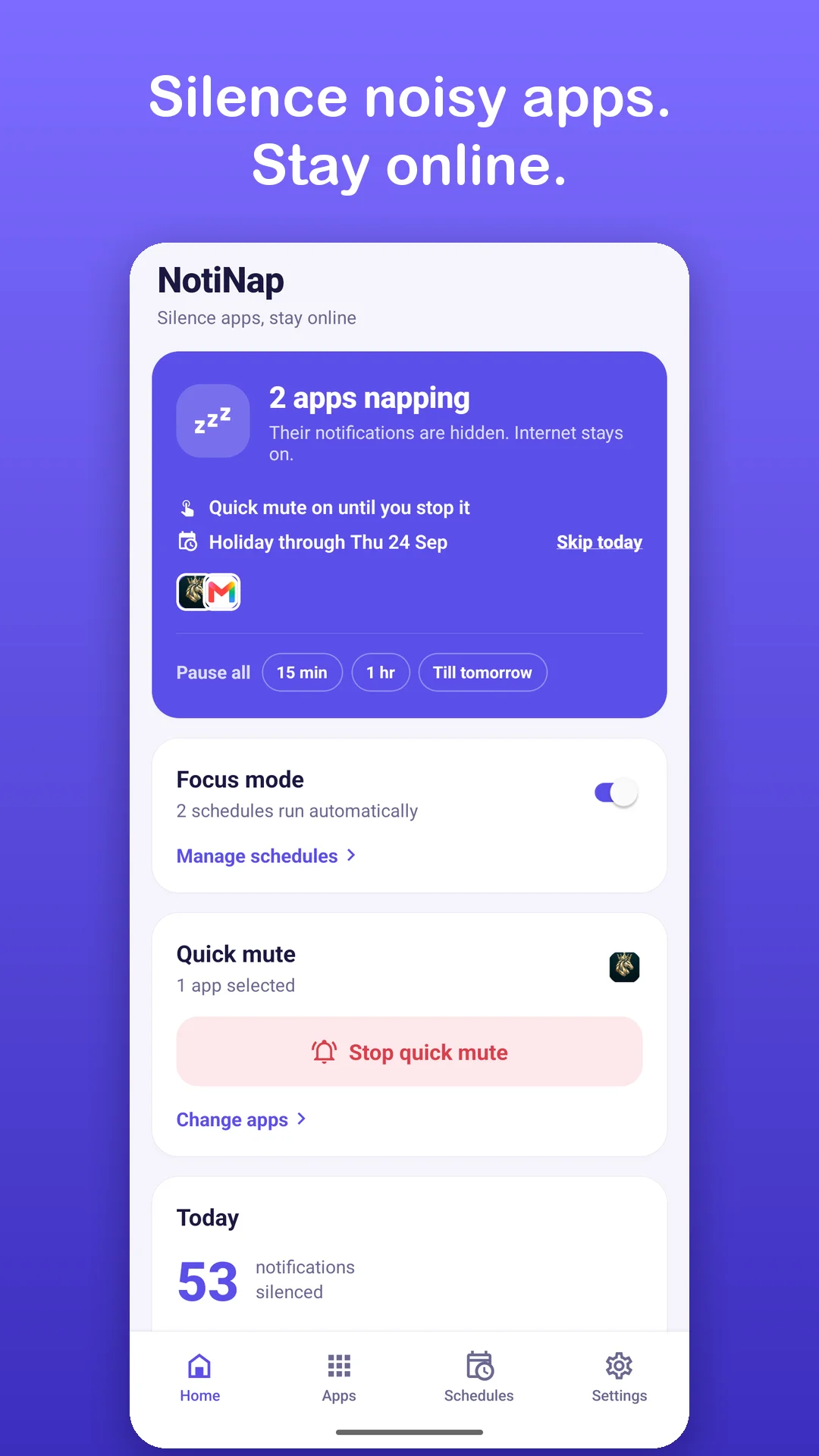 NotiNap Screenshot Preview